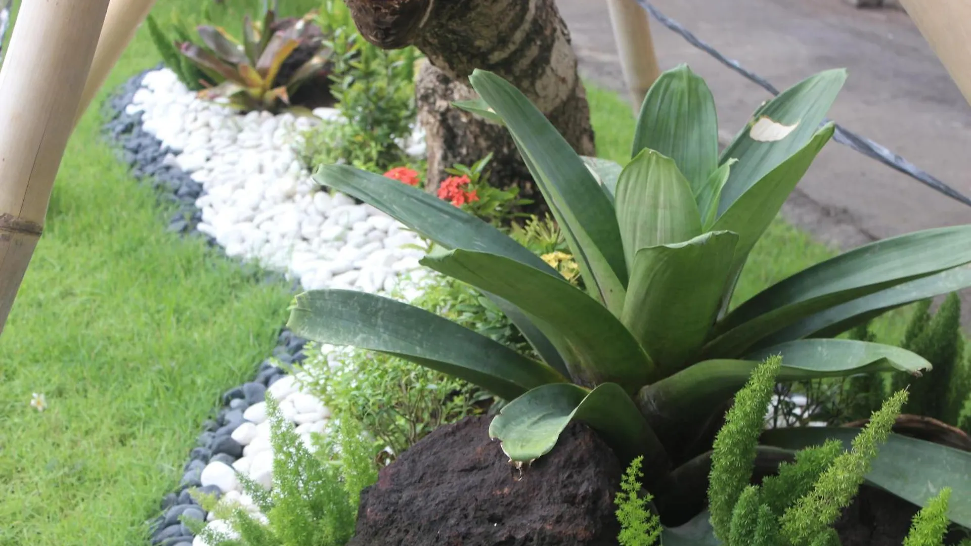 Kifaraju Homestay Nusa Dua